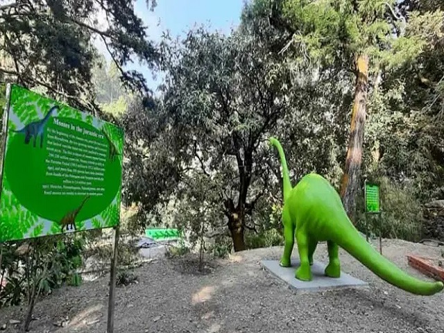 India gets it's first Moss Garden in Nainital: Know the significance, uses and other details here